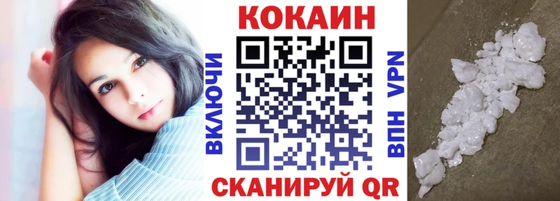 Купить закладки  Ирбит  Кокаин Fish Scale 