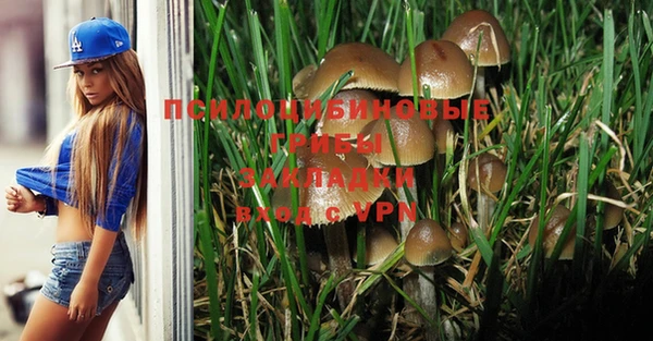 стафф Дмитровск